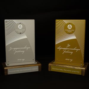 Строгие награды из металла на деревянном основании